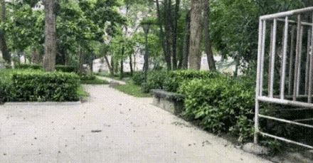 记录仪_14.gif