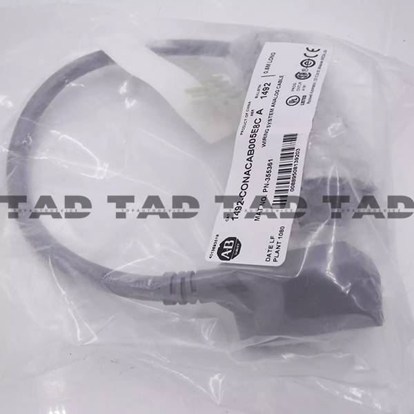 Allen-Bradley 1492-CONACAB005E8C