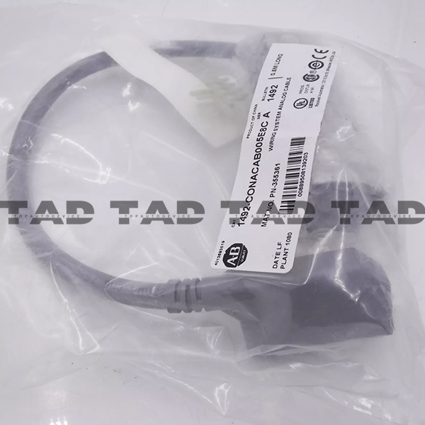 Allen-Bradley 1492-CONACAB005E8C