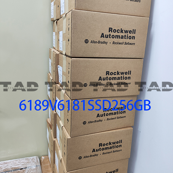 Allen-Bradley 6189V6181SSD256GB