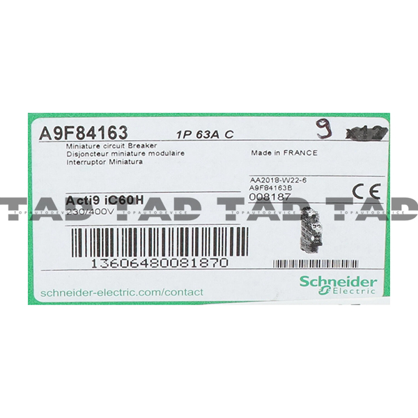 Schneider A9F84163