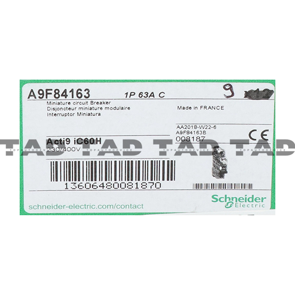 Schneider A9F84163