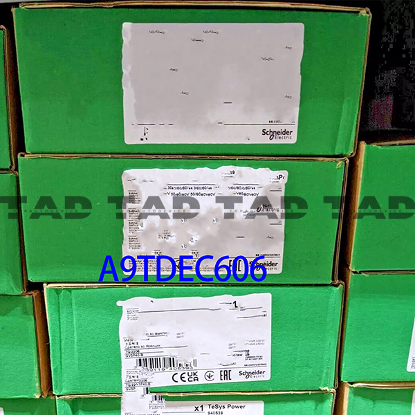 Schneider A9TDEC606