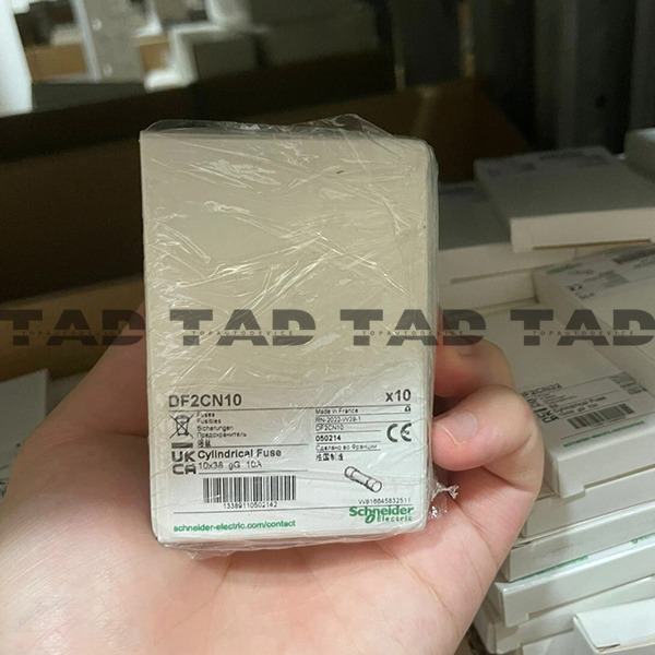 Schneider DF2CN10
