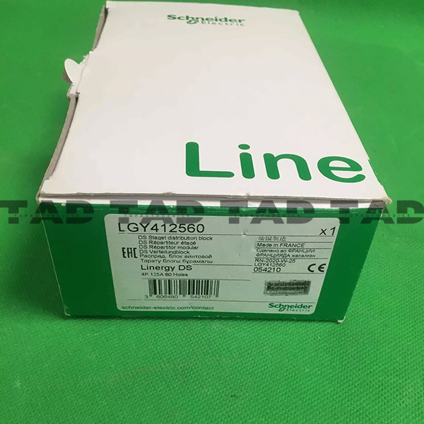 Schneider LGY412560