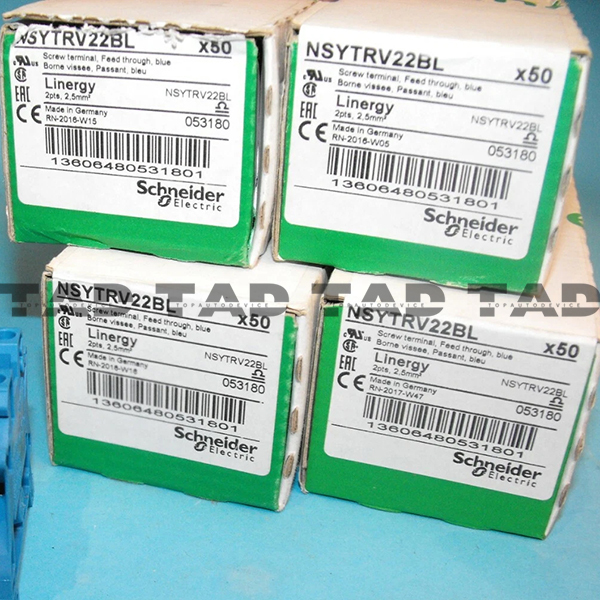 Schneider NSYTRV22BL