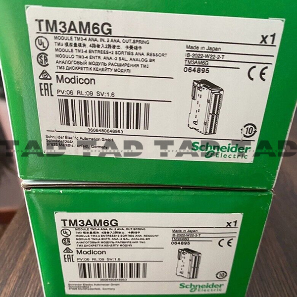 Schneider TM3AM6G