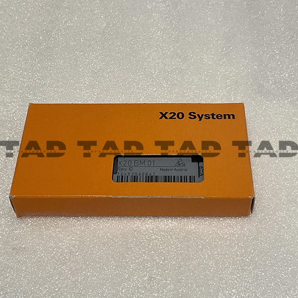 B&R X20BM01