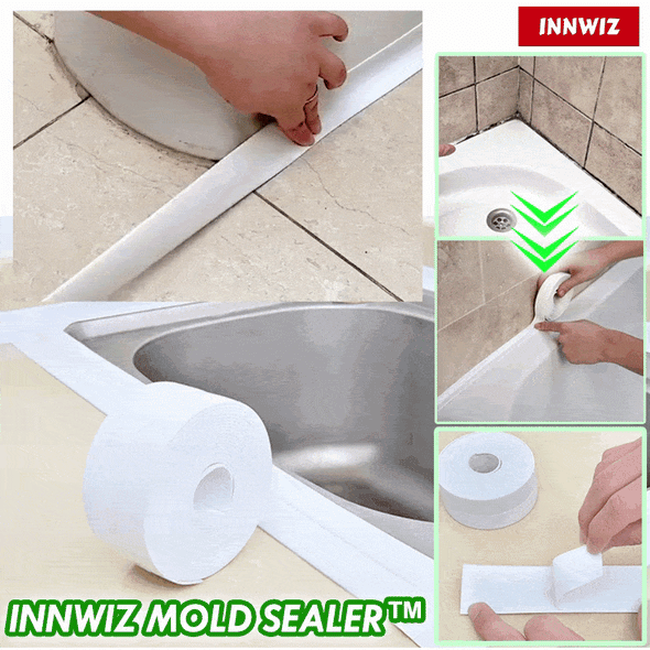 Mold Sealer