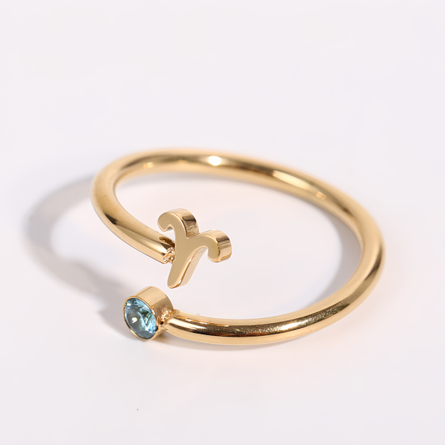Zodiac Birthstone Titanium Steel Ring with Rune Symbols - Adjustable Open  Zircon Astrology Jewelry- EclatDoré