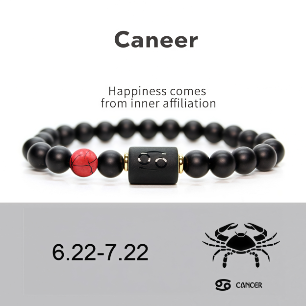 Spiritual Protection 12 Zodiac Signs Black Onyx Guardian Stone Adjustable Stretch Bracelet- EclatDoré