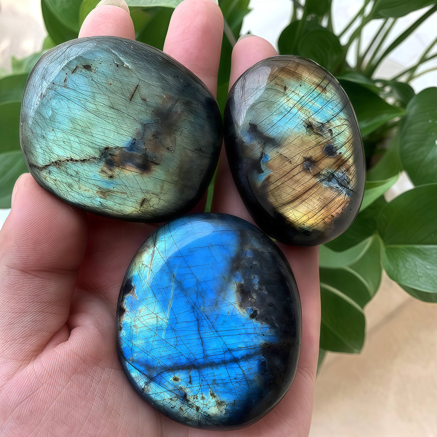 Natural Blue Moonlight Labradorite Palm Stone| Meditation Energy Hand Piece