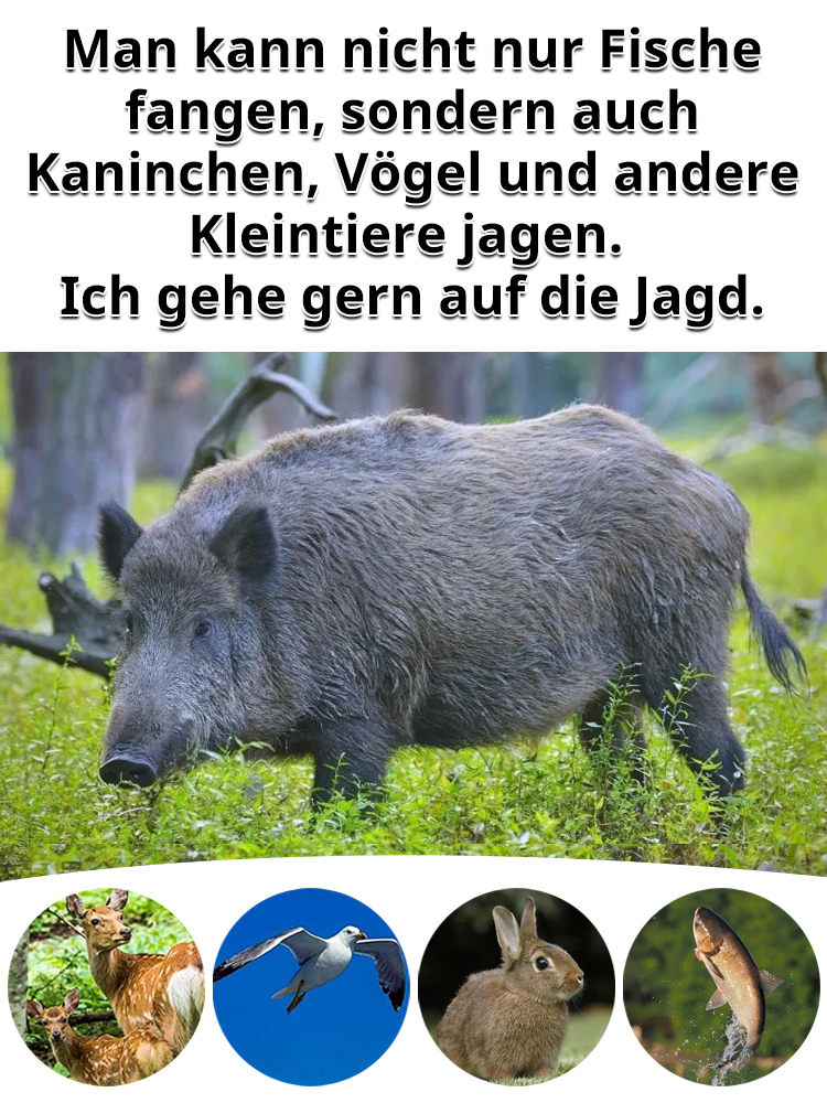 Hochpräziser neuer faltbarer Laserwerfer