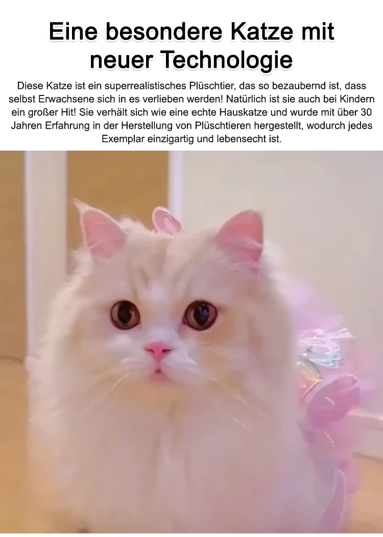 1_06.jpg