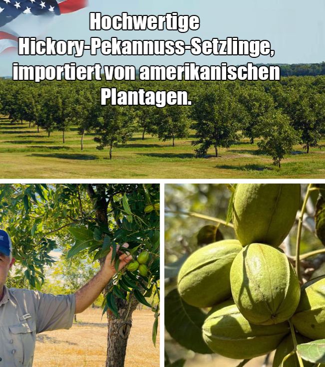 Die usa importieren befruchtungen