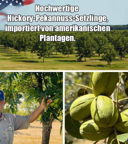 Die usa importieren befruchtungen