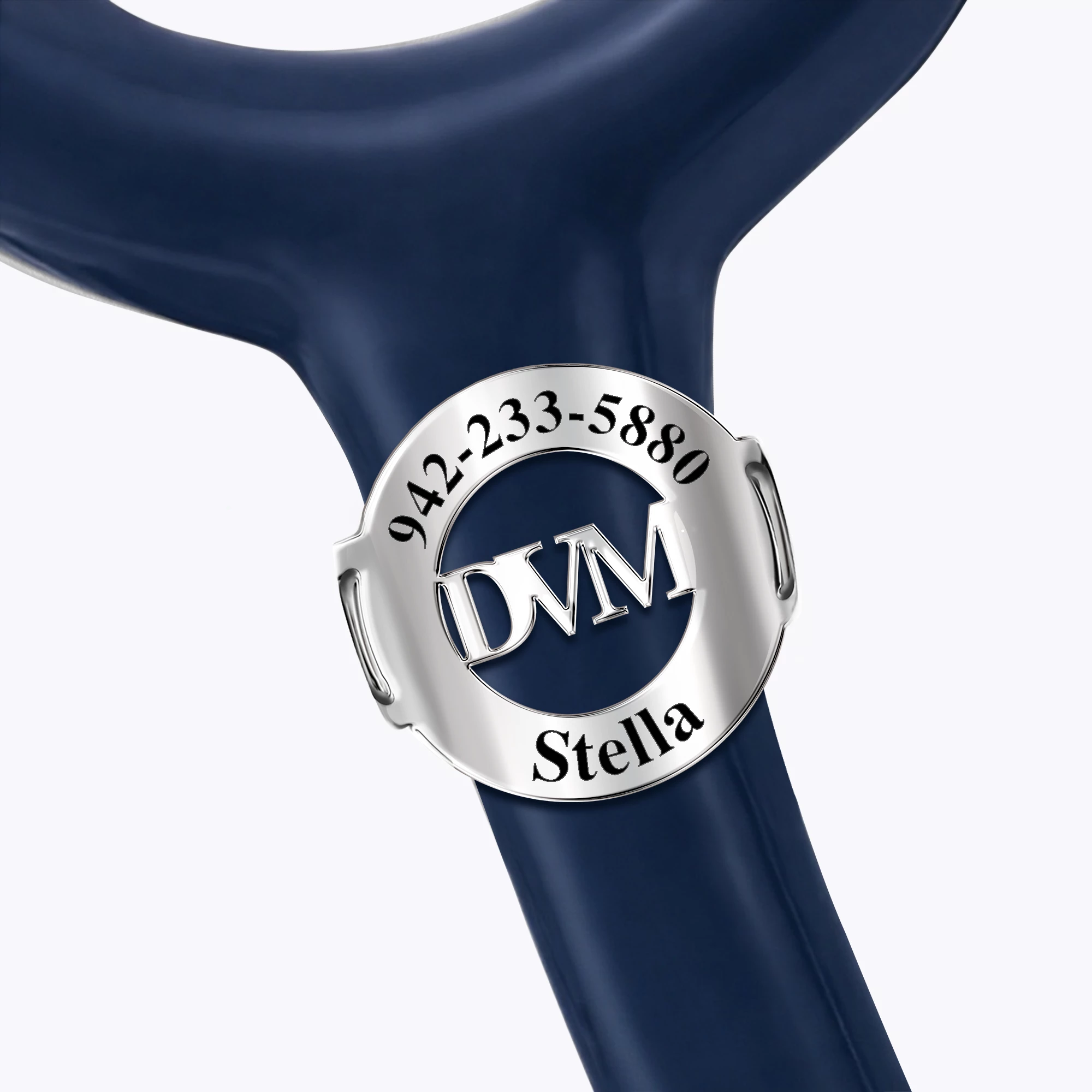 Personalized Stethoscope Name Tag with Title for Nurses Doctors Medical Staff