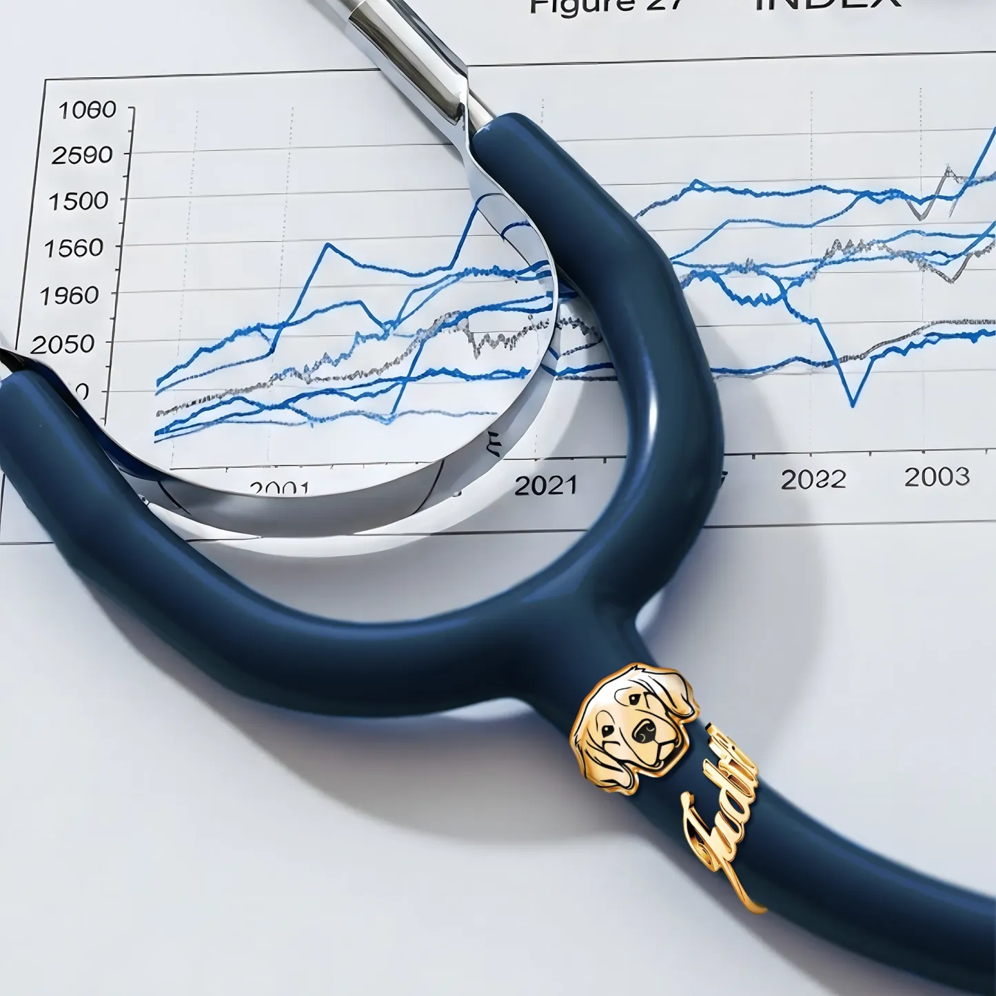 Custom Stethoscope Name Tag with Dog Cat Pet Face for Nurses Doctors Medical Staff