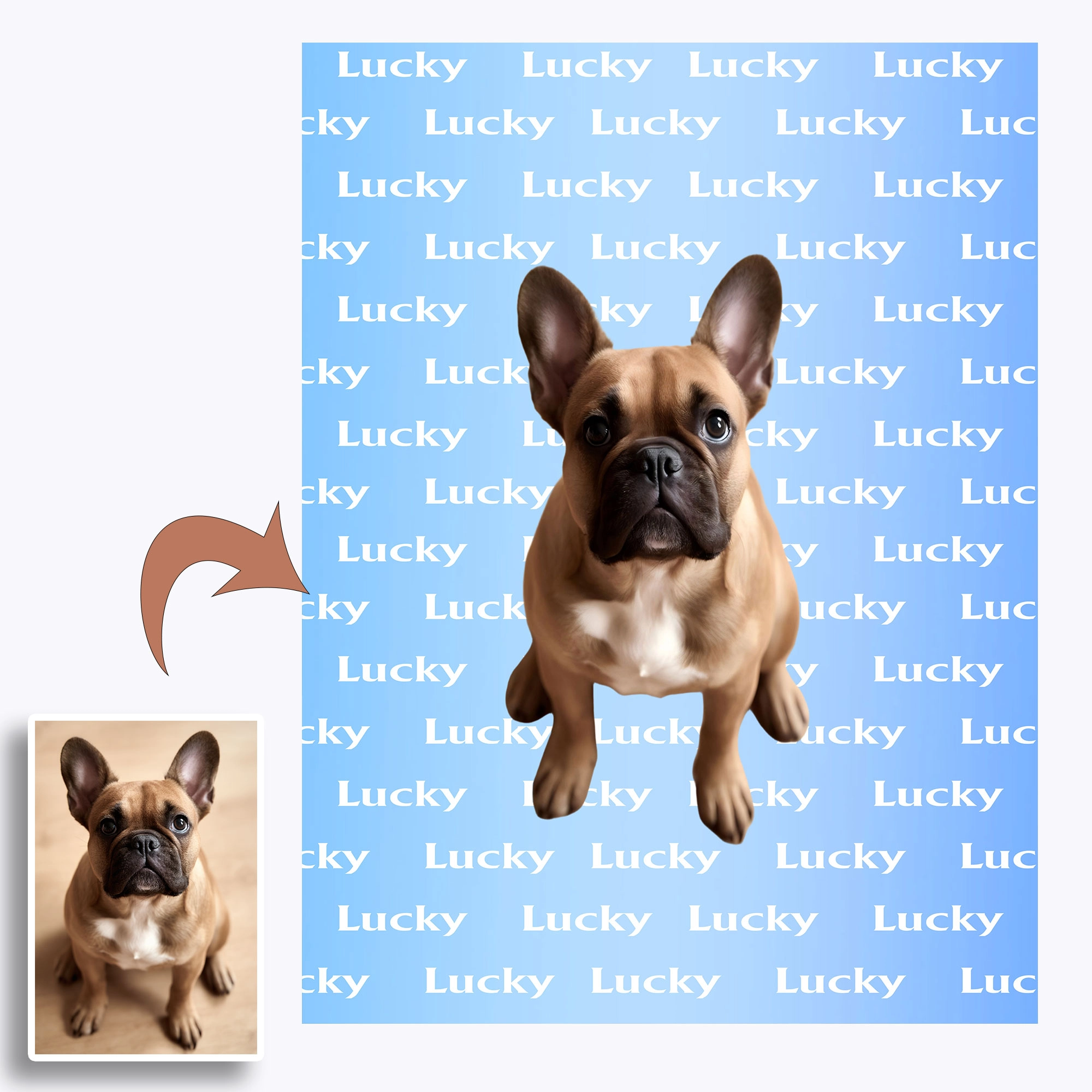 Custom Fuzzy Fleece Blanket with Pet Photo and Text