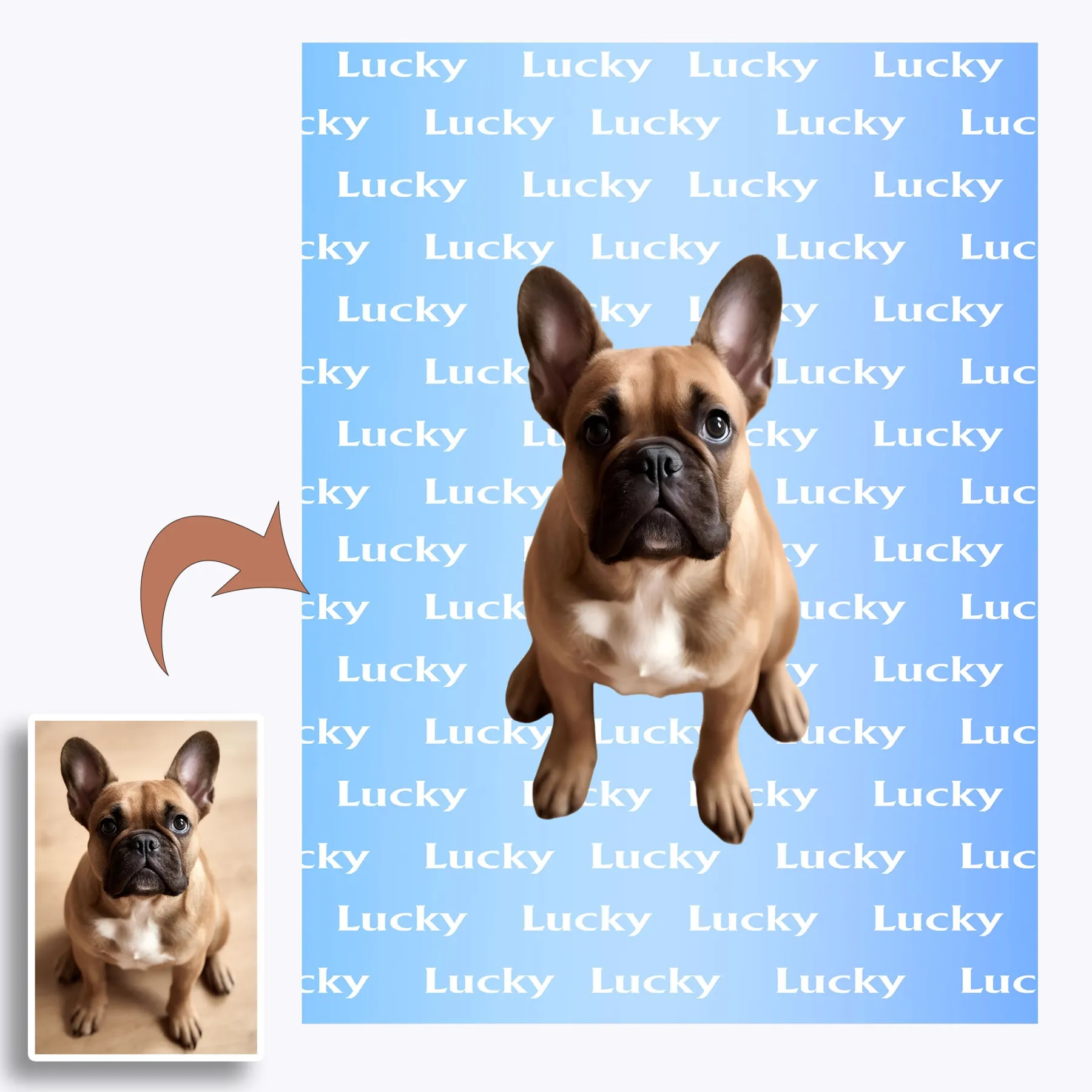 Custom Fuzzy Fleece Blanket with Pet Photo and Text