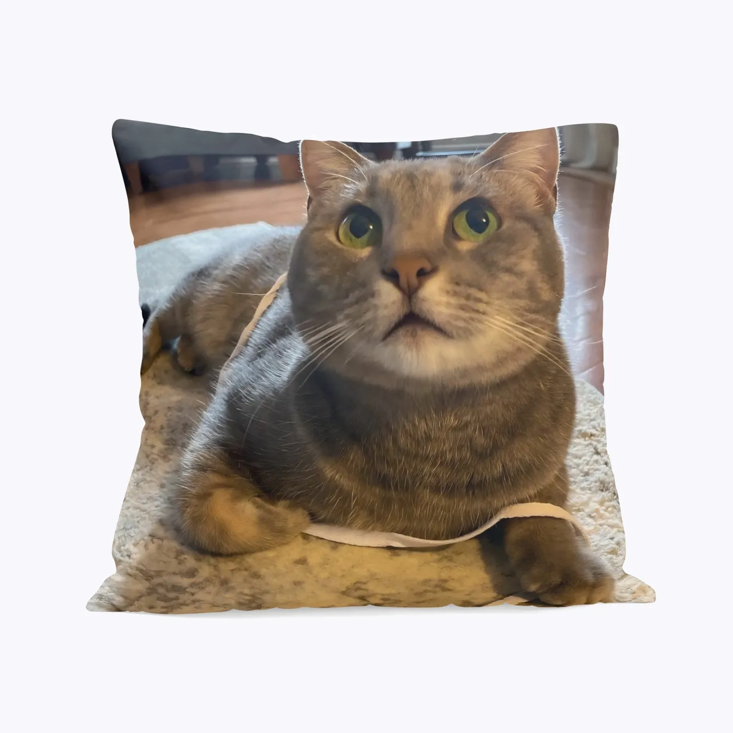 Personalized Double-sided Dog Cat Pet Photo Throw Pillow