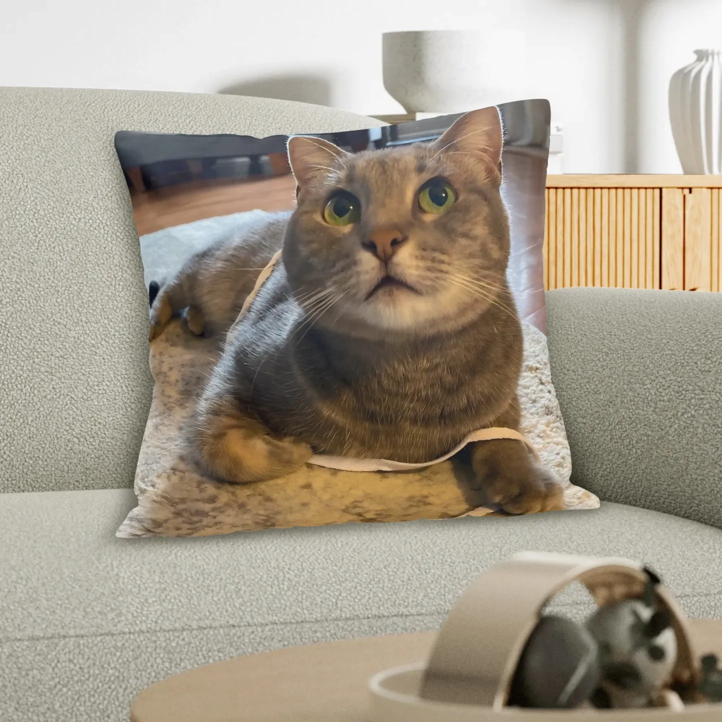 Personalized Double-sided Dog Cat Pet Photo Throw Pillow