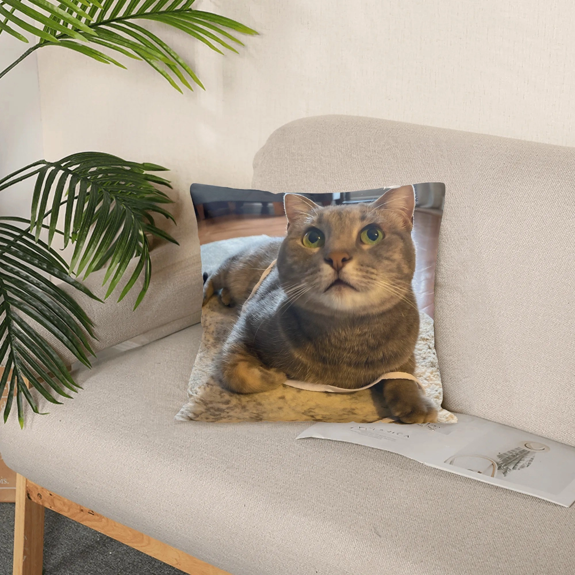 Personalized Double-sided Dog Cat Pet Photo Throw Pillow