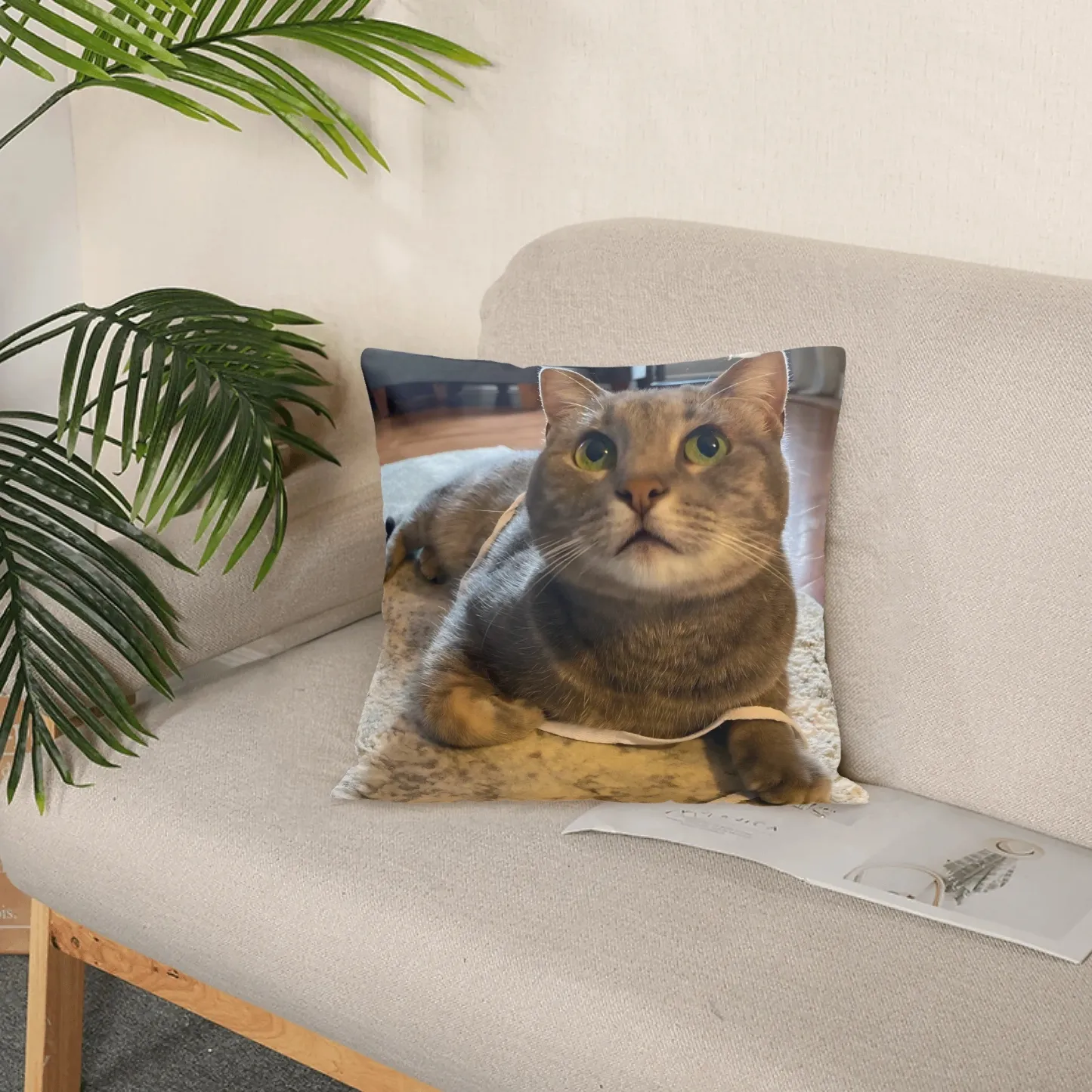 Personalized Double-sided Dog Cat Pet Photo Throw Pillow