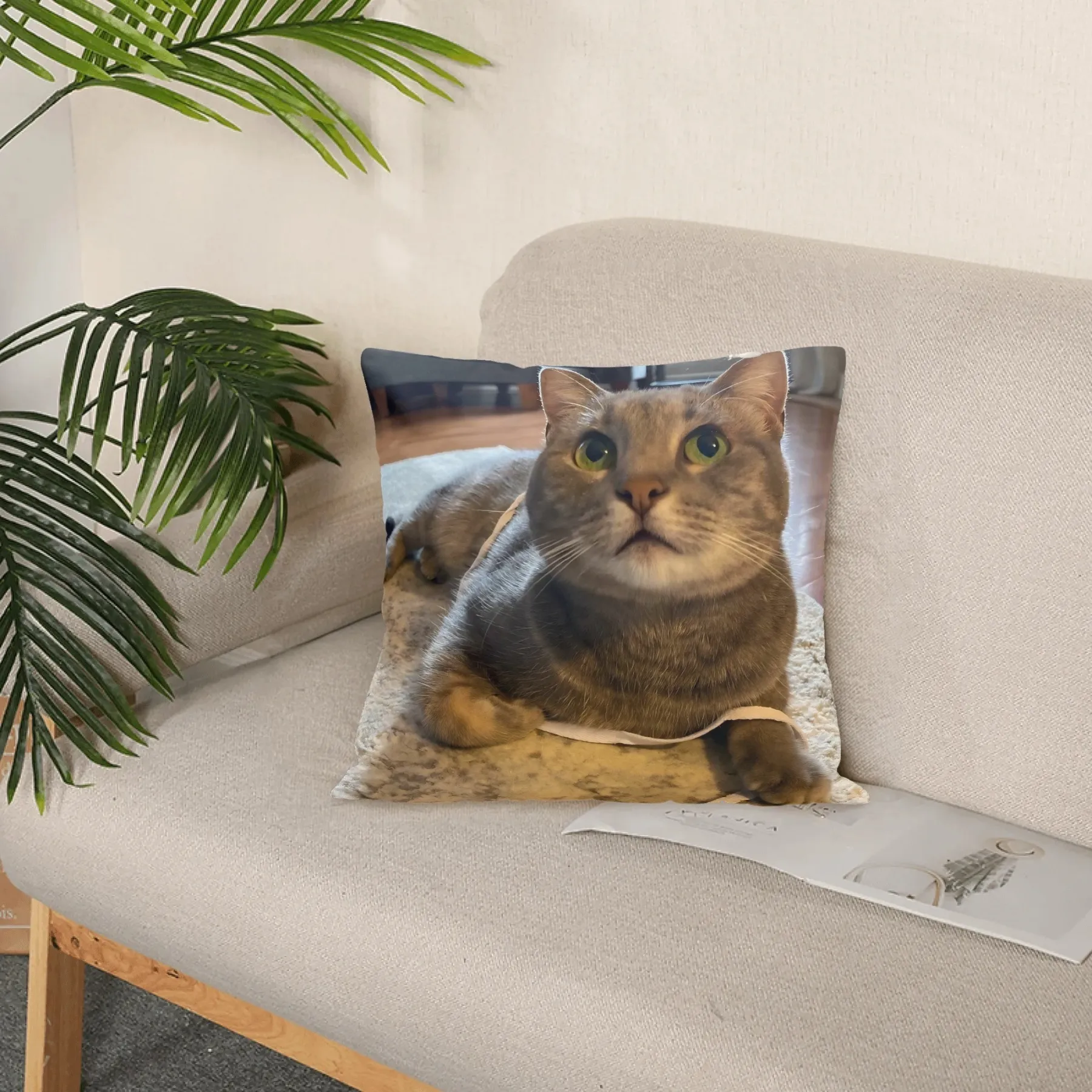 Personalized Double-sided Dog Cat Pet Photo Throw Pillow