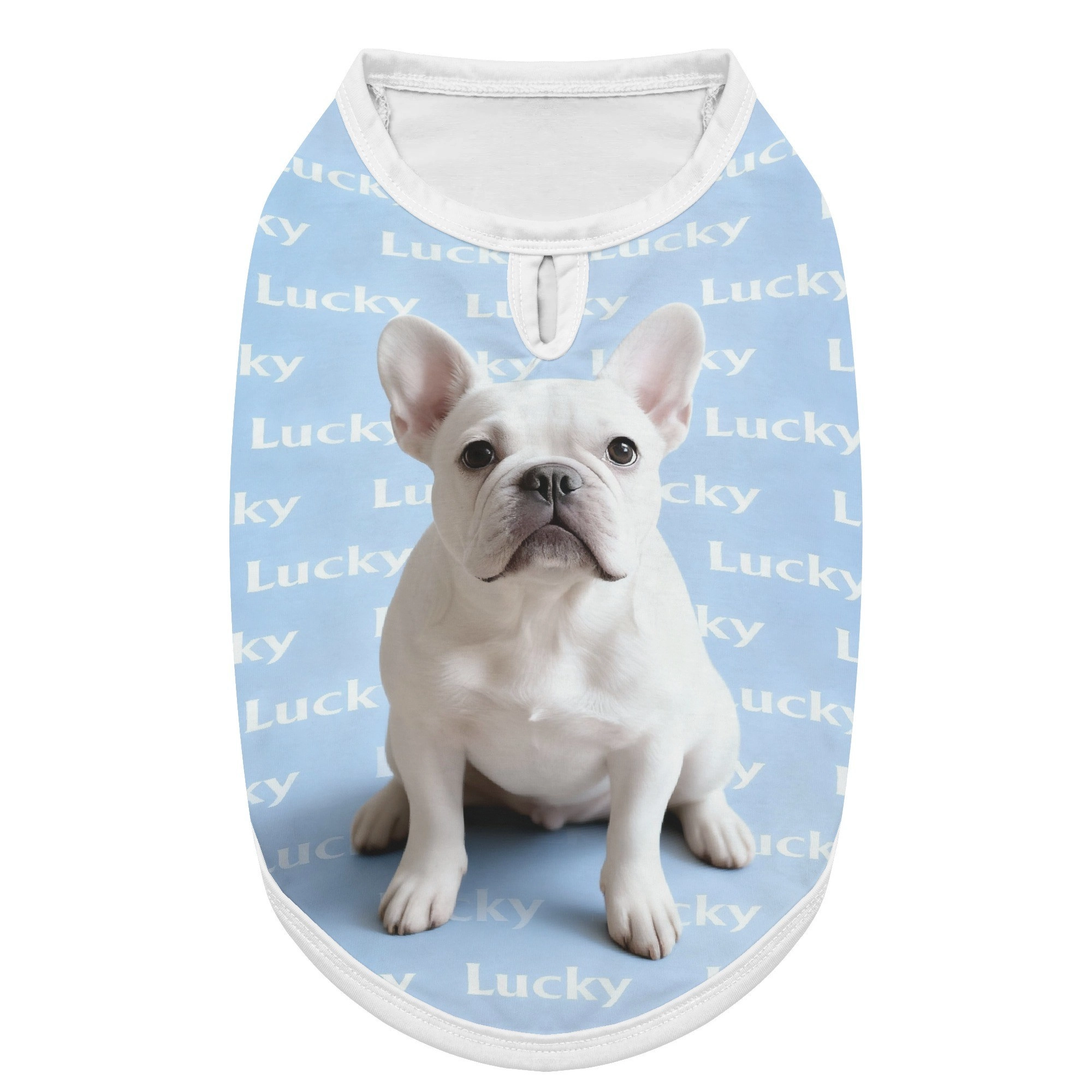 Custom Dog Cat Pet Photo Clothing with Text Name