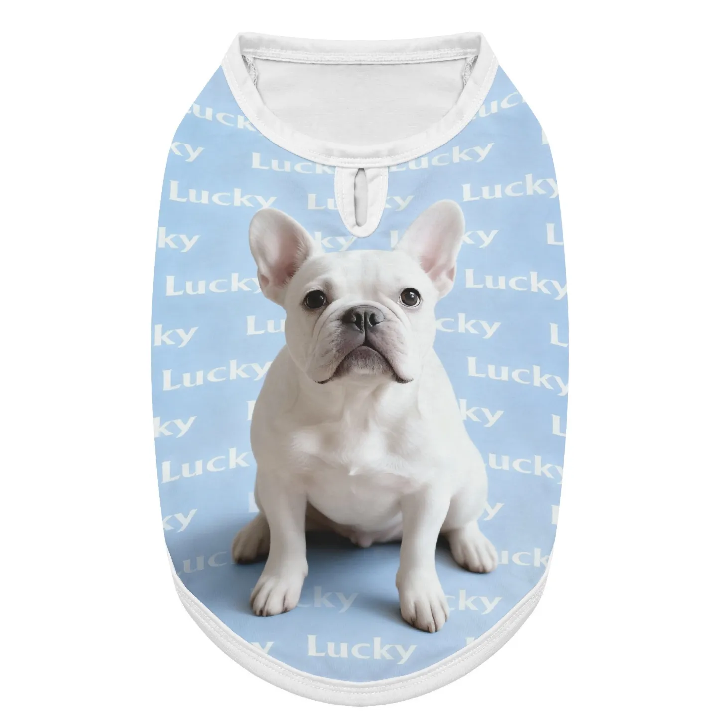Custom Dog Cat Pet Photo Clothing with Text Name