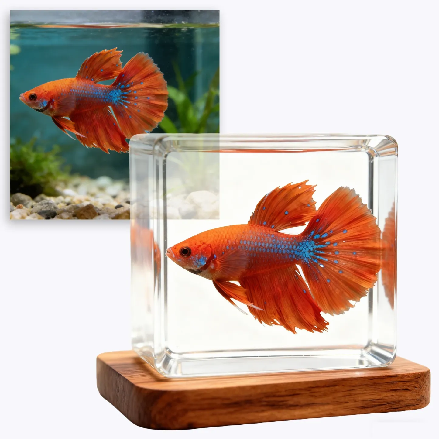 Personalized Fish Highly Realistic Full-Color 3D Statue