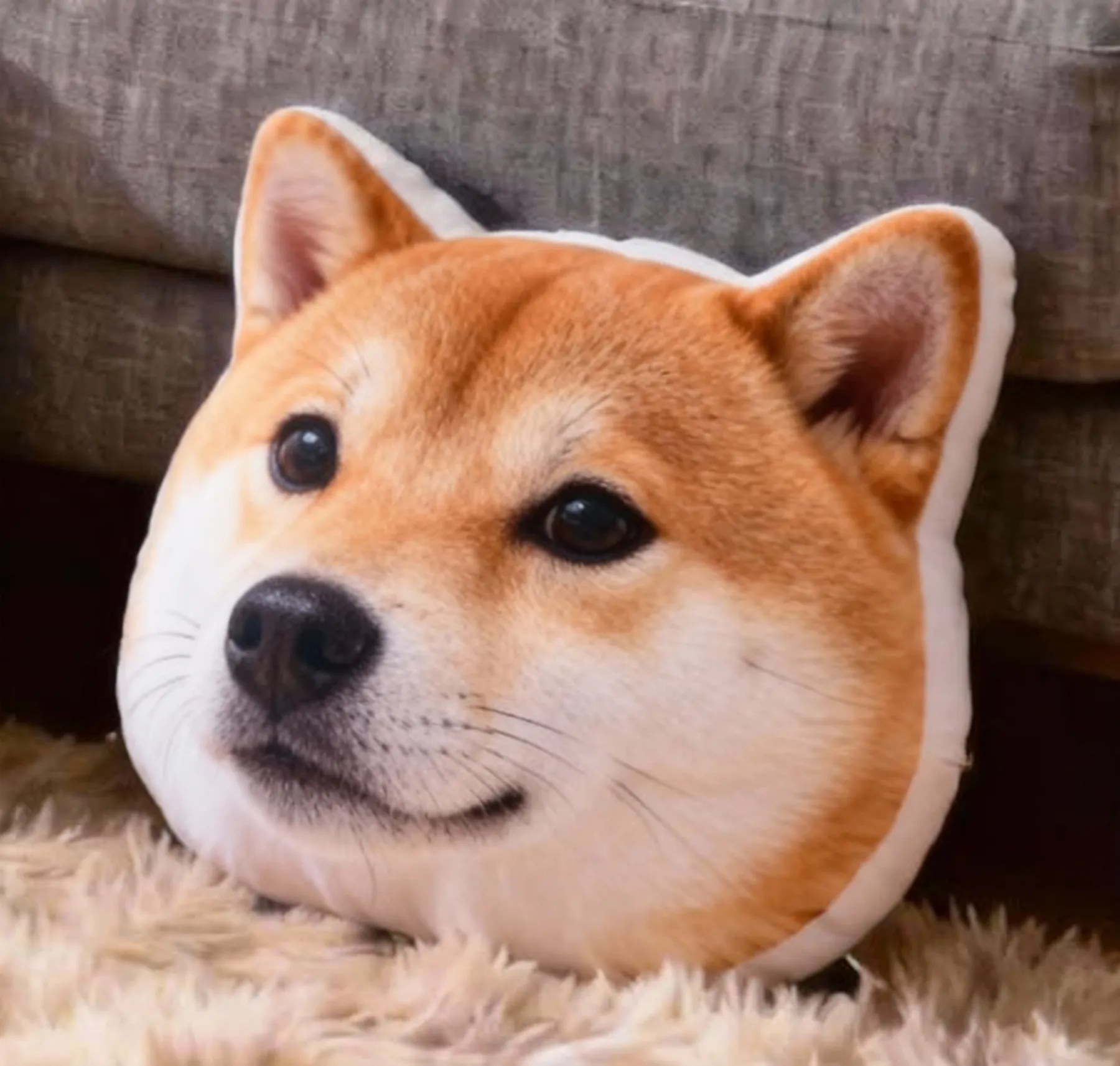 Personalized Double-sided Dog Cat Pet Face Photo Throw Pillow