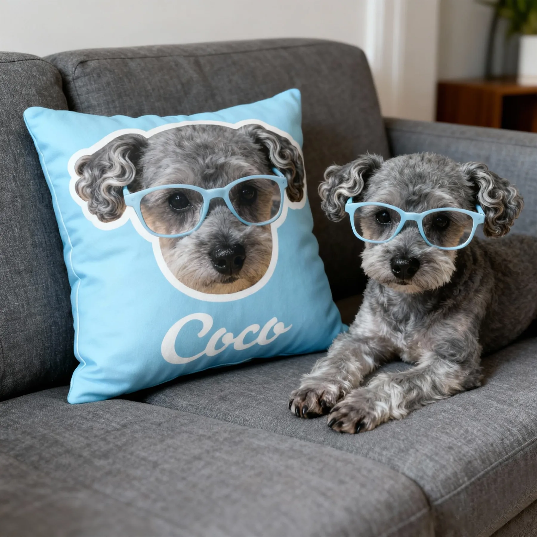 Personalized Double-sided Dog Cat Pet Face Photo Throw Pillow with Name