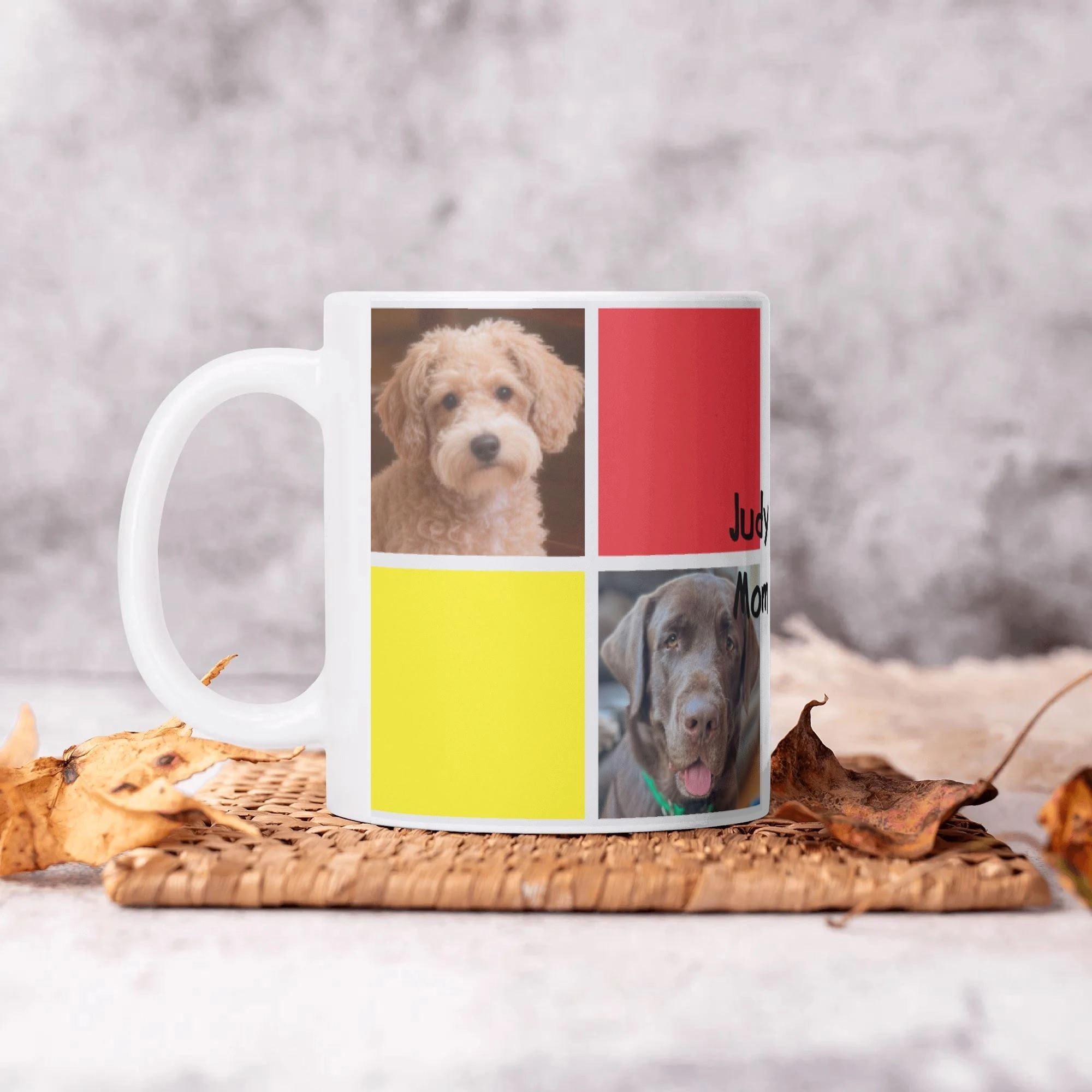 Custom Pet Photo Multi-Color Block 11oz Mug
