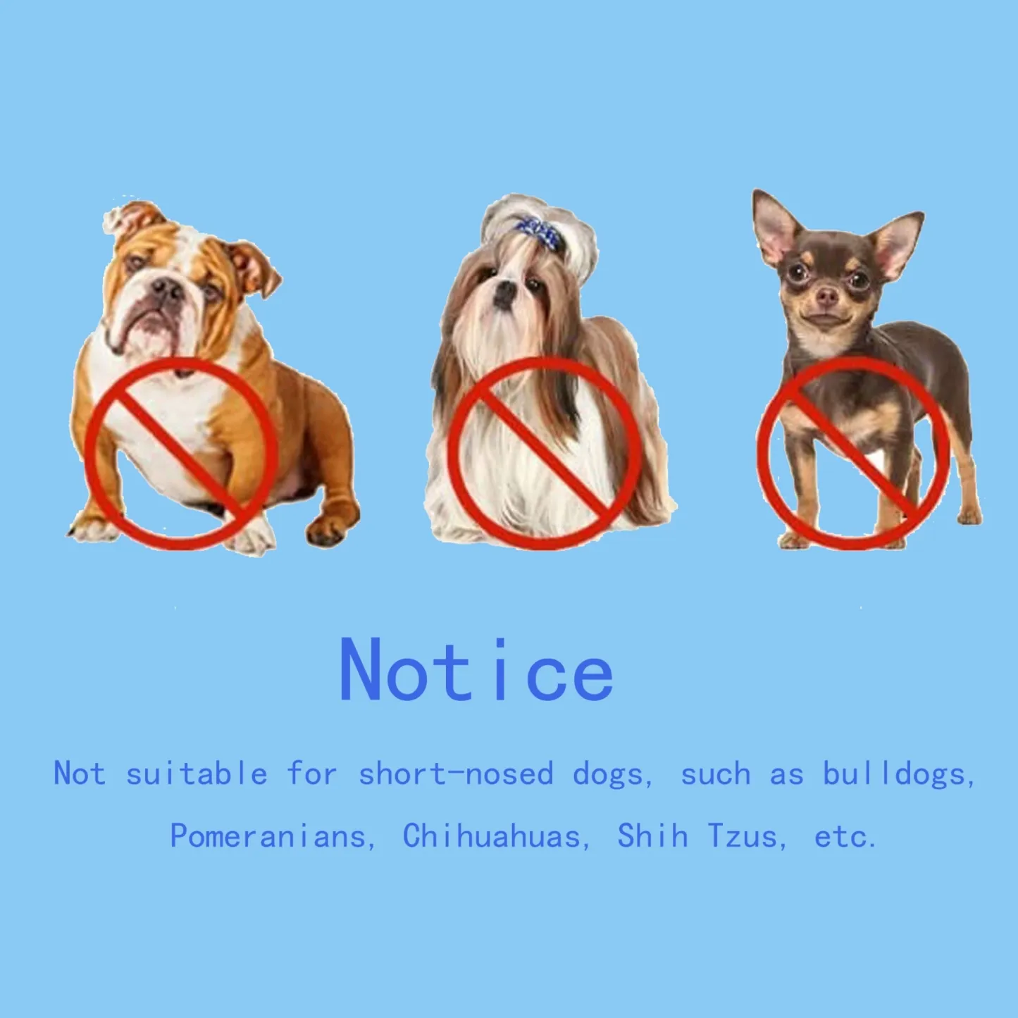 Custom Embroidered Name Breathable Mesh Dog Muzzle