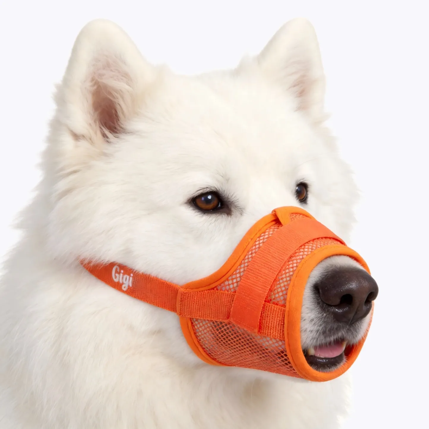 Custom Embroidered Name Breathable Mesh Dog Muzzle