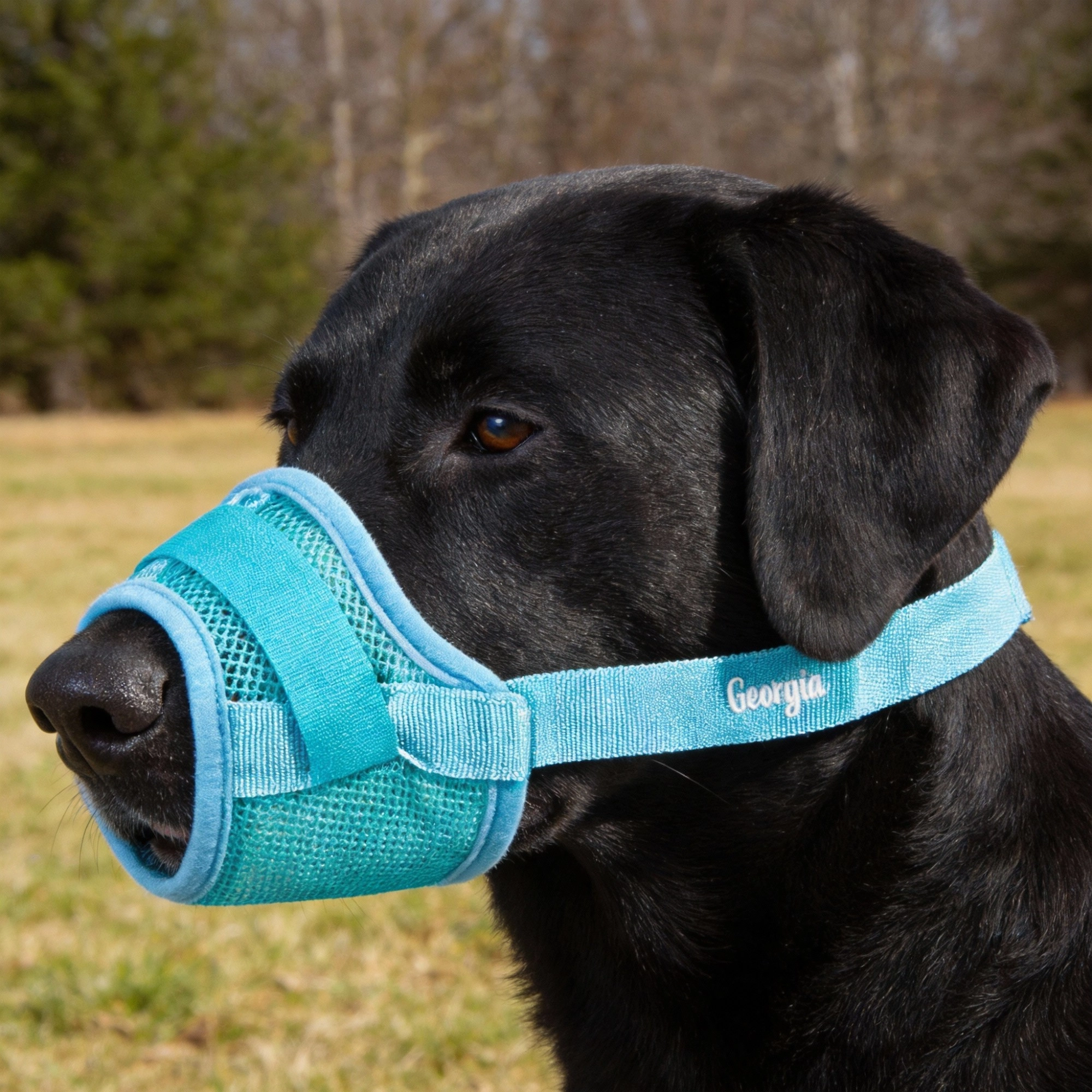 Custom Embroidered Name Breathable Mesh Dog Muzzle