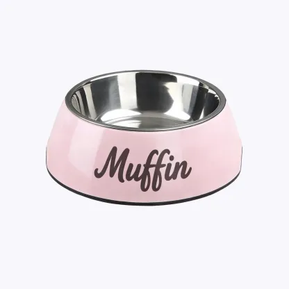 Custom Name Stainless Steel Cat Dog Pet Bowl