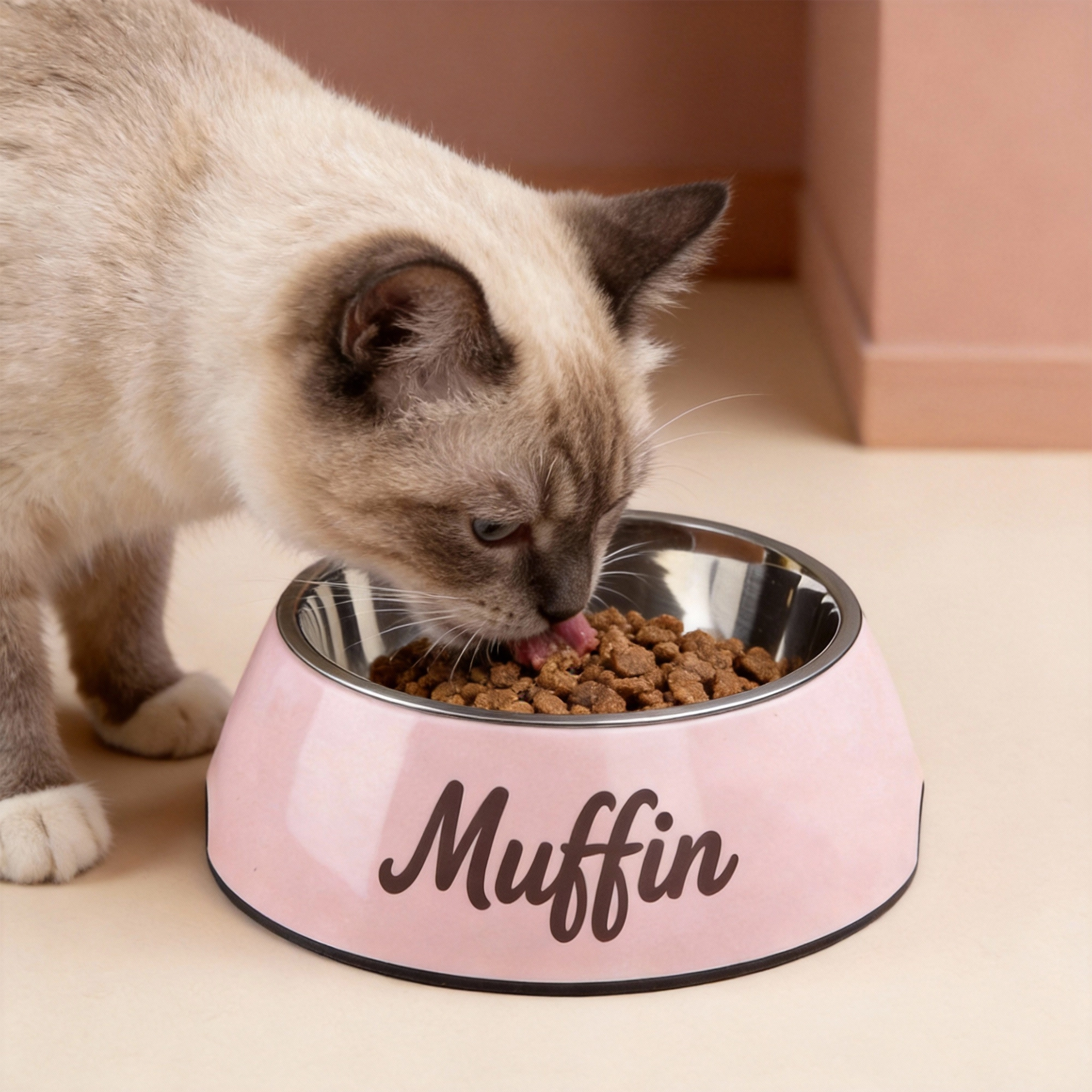 Custom Name Stainless Steel Cat Dog Pet Bowl