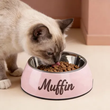 Custom Name Stainless Steel Cat Dog Pet Bowl