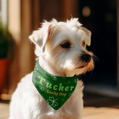 Custom Lucky Clover Name and Text Pet Bandana for St. Patrick's Day