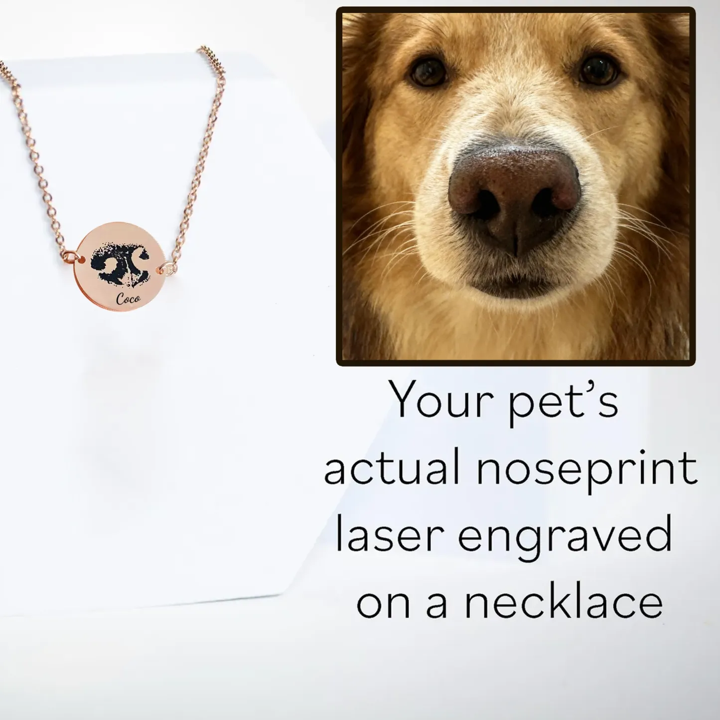 Custom Dog Nose Print Engraved Round Disc Pendant Bracelet