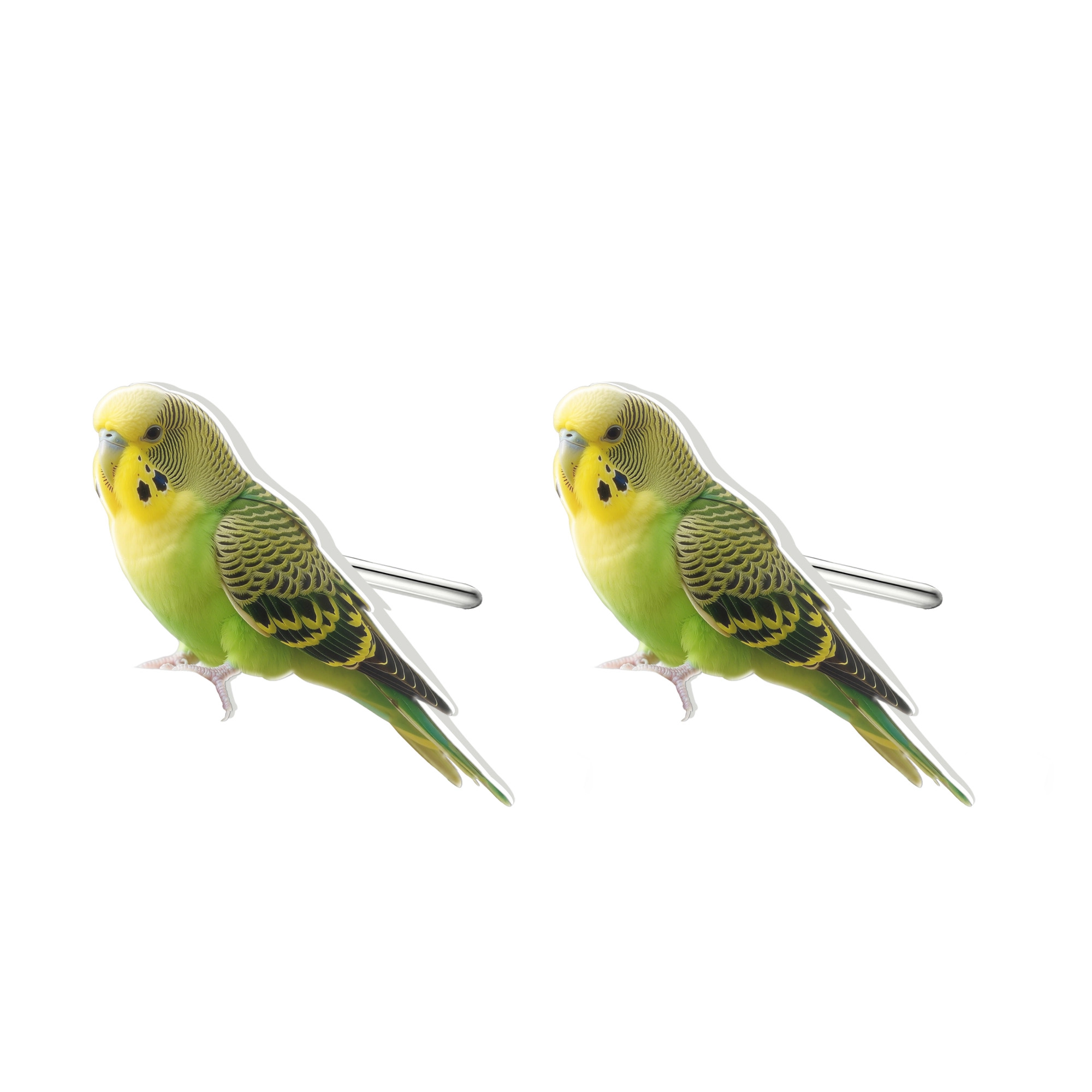 Custom Bird Parrot Face Photo Studs
