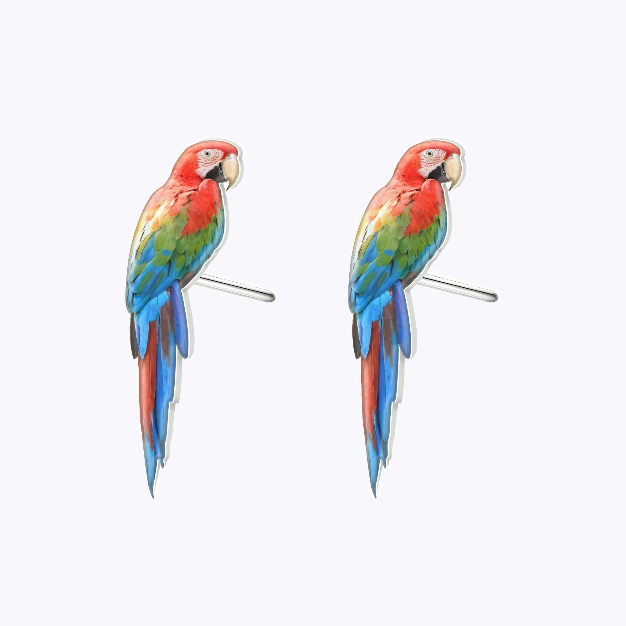 Custom Bird Parrot Face Photo Studs