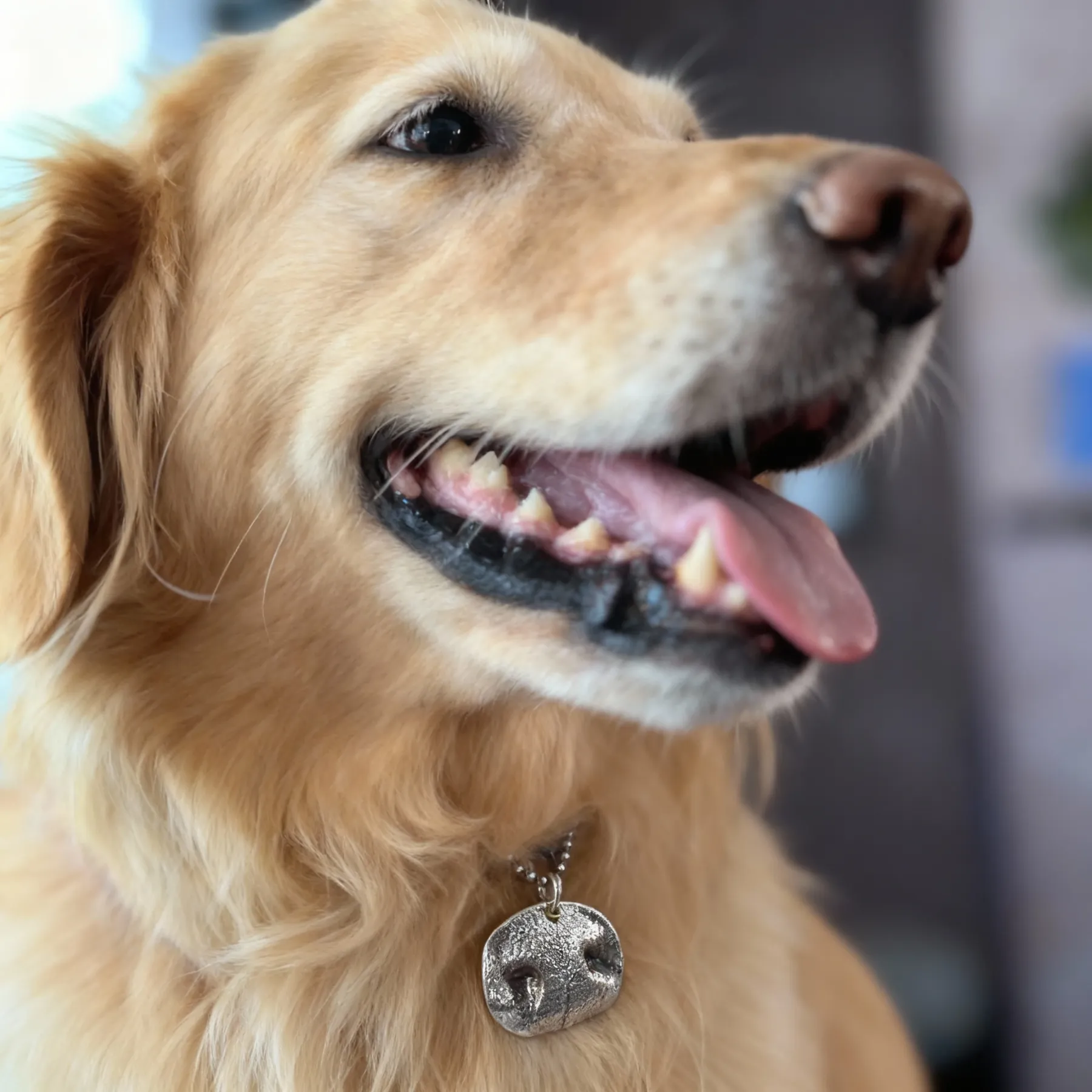 Custom Dog Nose Print Necklace