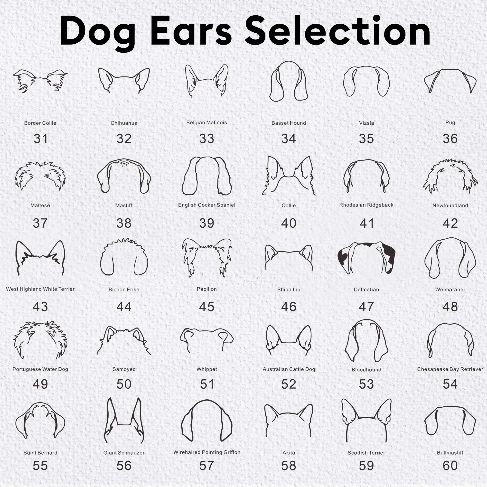 Pesonalized 1-3 Dog Ears Name Bracelet for Dog Pet Lover-BY PROMISE-Pet,Name