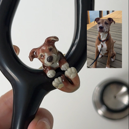 Custom 3D Handmade Ultralight Clay Ceramic Dog Cat Pet Stethoscope Tag for Veterinarians Nurses Doctors Medical Staff Nurses Week Gift
