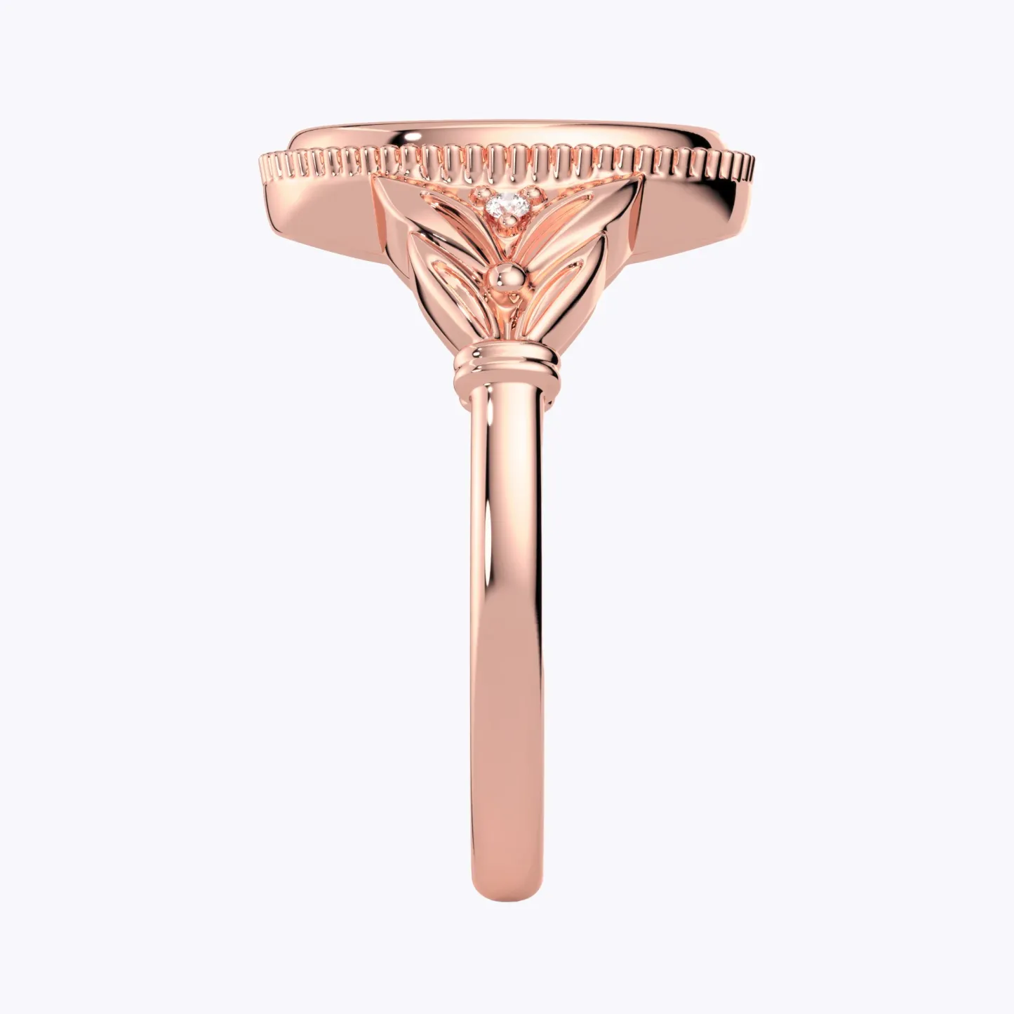 Custom 1-5 Birth Flower Ring with Side Ronud Birthstone