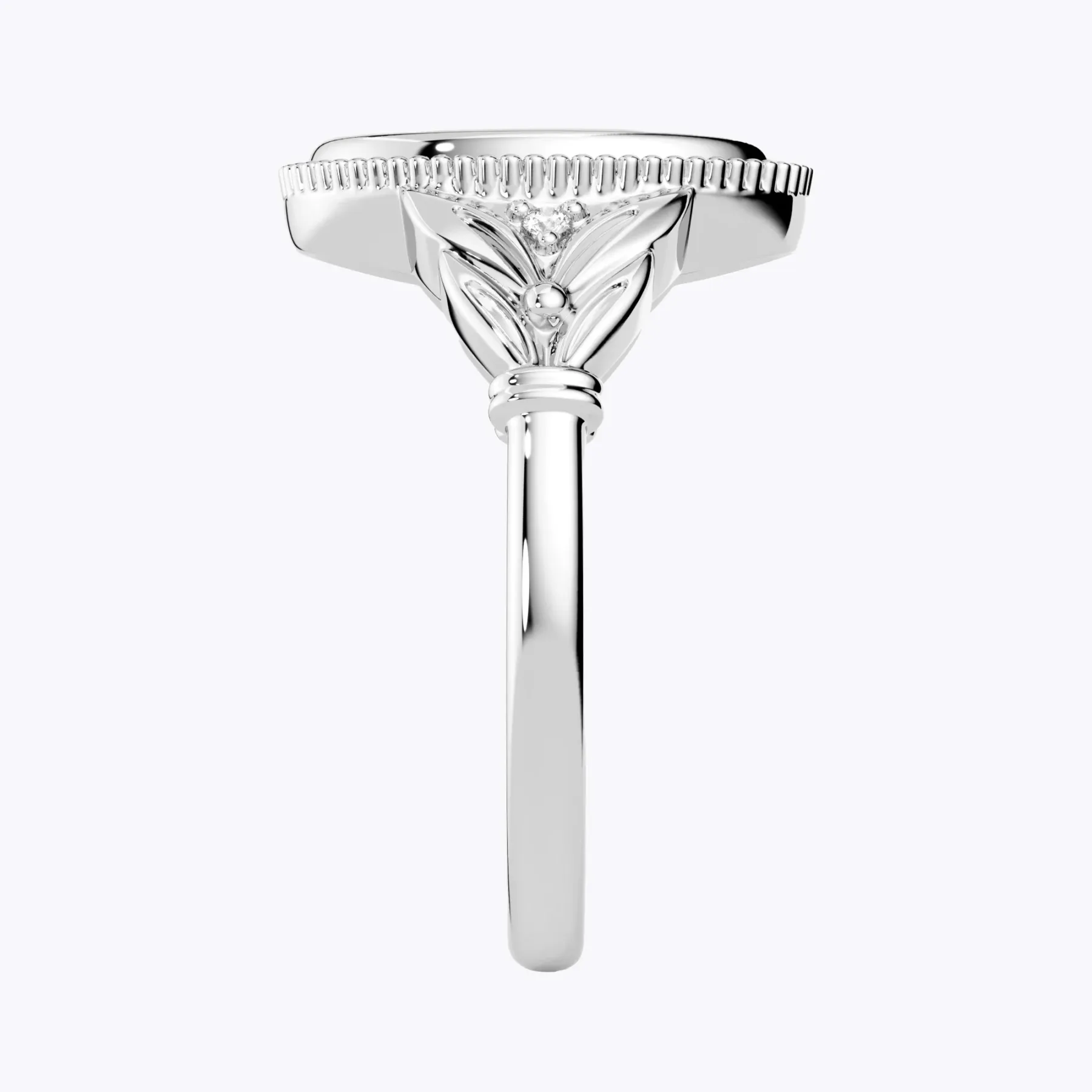 Custom 1-5 Birth Flower Ring with Side Ronud Birthstone